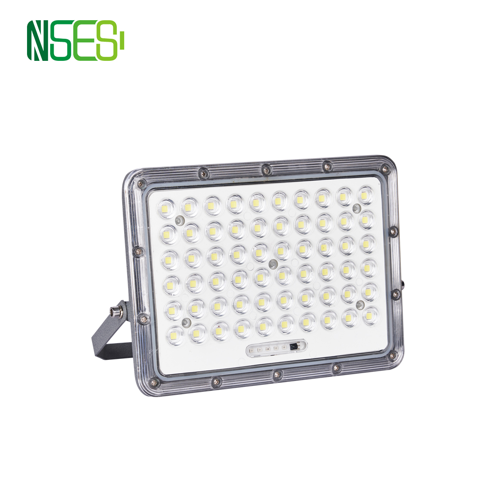 NS 01 Solar Flood Light